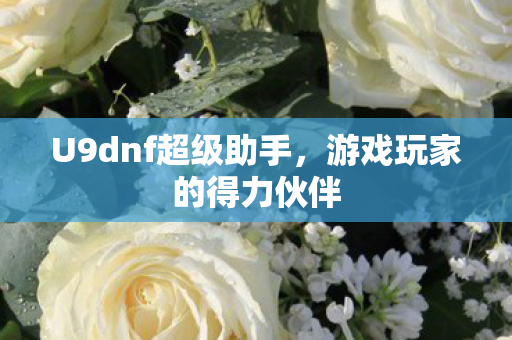 U9dnf超级助手图片