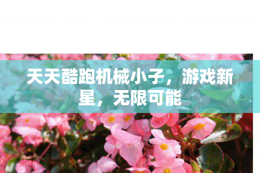 天天酷跑机械小子图片