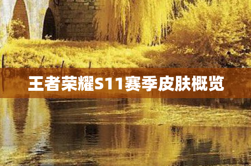 王者荣耀S11赛季皮肤概览图片