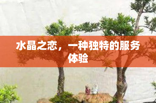 一种独特的服务体验图片