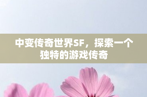 探索一个独特的游戏传奇图片