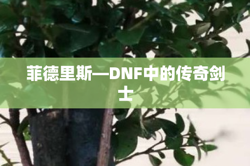 DNF中的传奇剑士图片