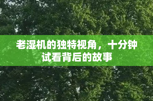 十分钟试看背后的故事图片
