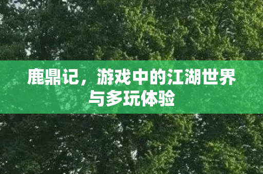 游戏中的江湖世界与多玩体验图片