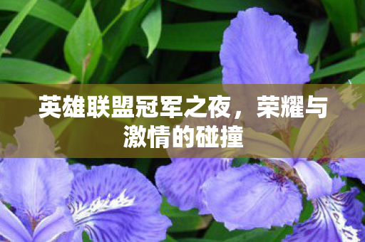 英雄联盟冠军之夜图片