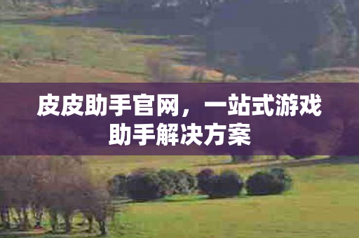 一站式游戏助手解决方案图片