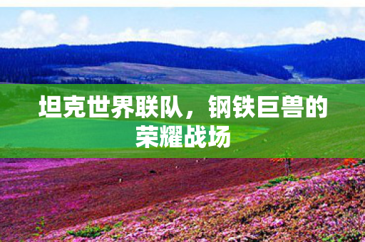 钢铁巨兽的荣耀战场图片