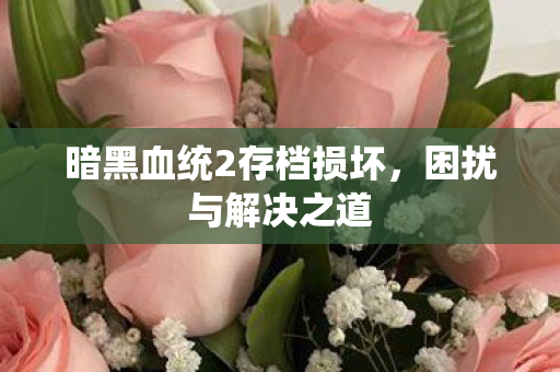 暗黑血统2存档损坏图片