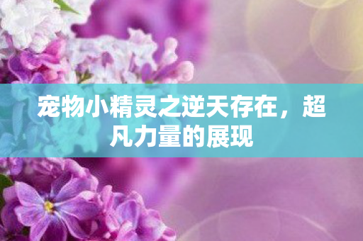 宠物小精灵之逆天存在图片