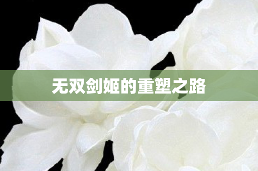 无双剑姬的重塑之路图片