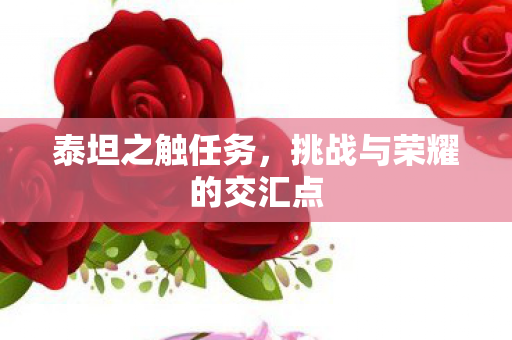 挑战与荣耀的交汇点图片