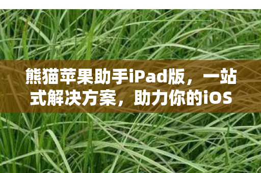 熊猫苹果助手iPad版图片