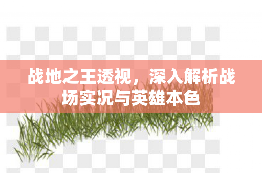 深入解析战场实况与英雄本色图片