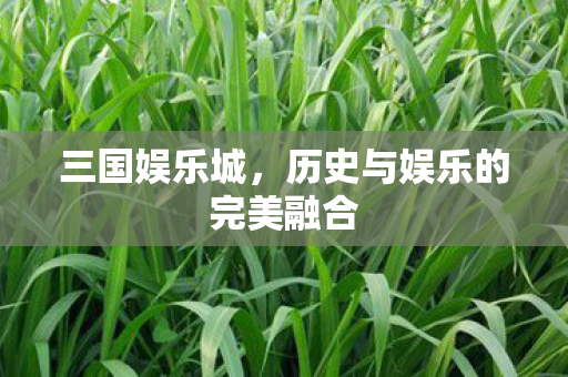 历史与娱乐的完美融合图片