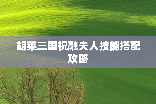 胡莱三国祝融夫人技能搭配攻略图片