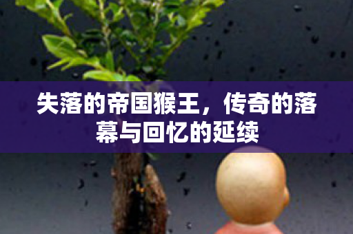 传奇的落幕与回忆的延续图片
