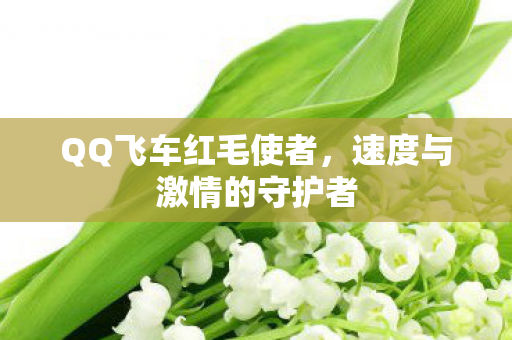 速度与激情的守护者图片