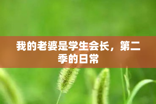 我的老婆是学生会长图片