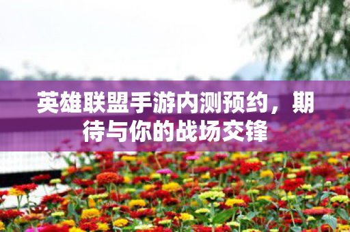 英雄联盟手游内测预约图片