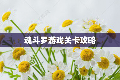 魂斗罗游戏关卡攻略图片