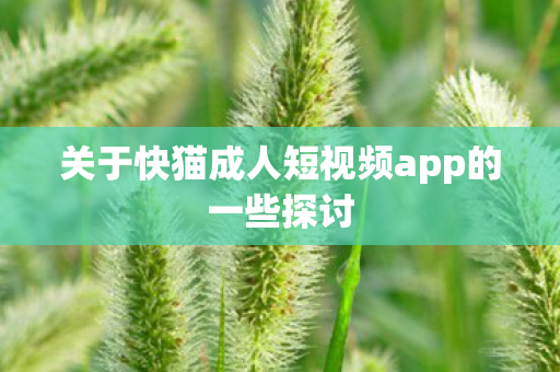关于快猫成人短视频app的一些探讨图片