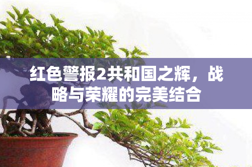 红色警报2共和国之辉图片