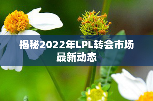 揭秘2022年LPL转会市场最新动态图片