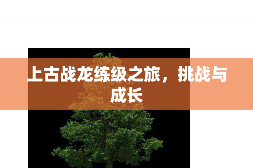 上古战龙练级之旅图片