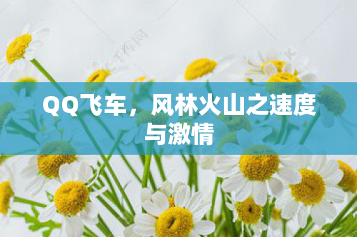 风林火山之速度与激情图片