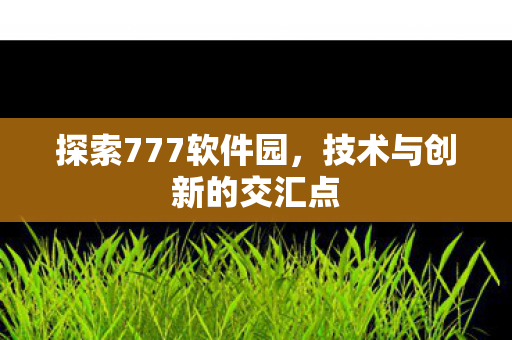 技术与创新的交汇点图片