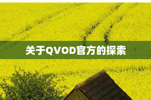 关于QVOD官方的探索图片
