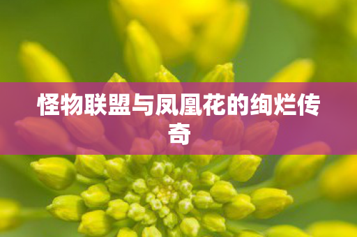 怪物联盟与凤凰花的绚烂传奇图片