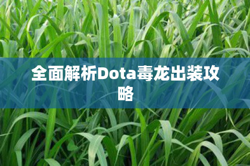 全面解析Dota毒龙出装攻略图片