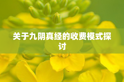 关于九阴真经的收费模式探讨图片
