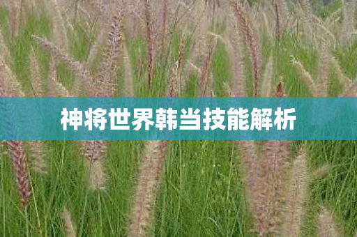 神将世界韩当技能解析图片