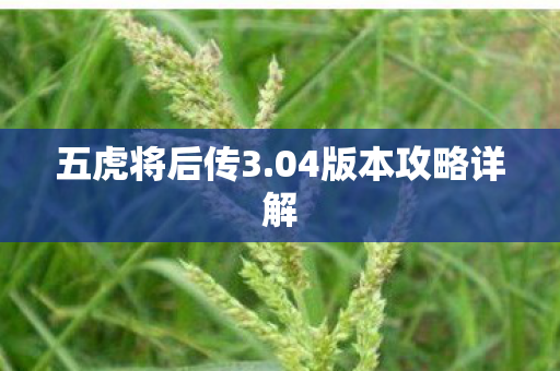 04版本攻略详解图片