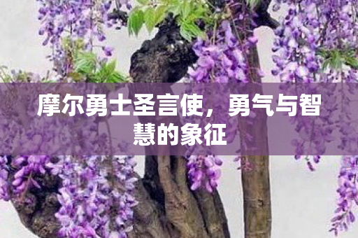 勇气与智慧的象征图片