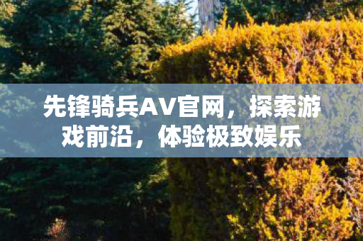 先锋骑兵AV官网图片