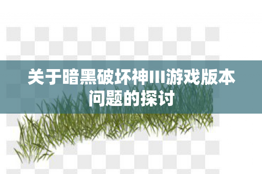 关于暗黑破坏神III游戏版本问题的探讨图片