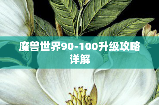 100升级攻略详解图片