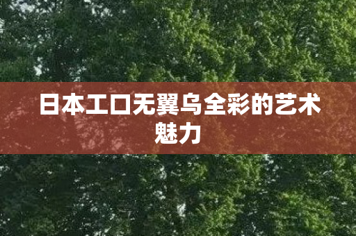 日本工口无翼乌全彩的艺术魅力图片