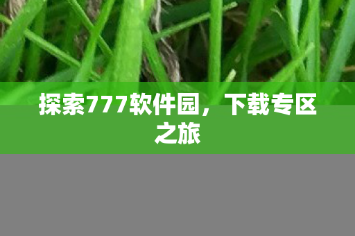 探索777软件园图片