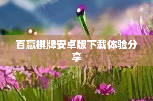 百赢棋牌安卓版下载体验分享图片