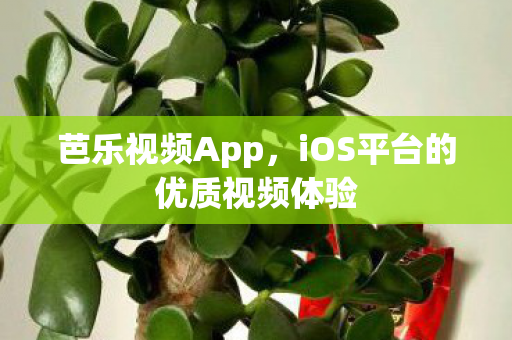iOS平台的优质视频体验图片