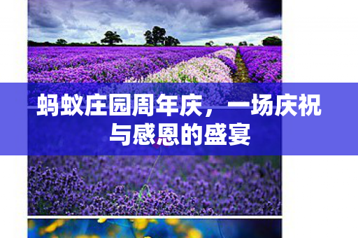 一场庆祝与感恩的盛宴图片