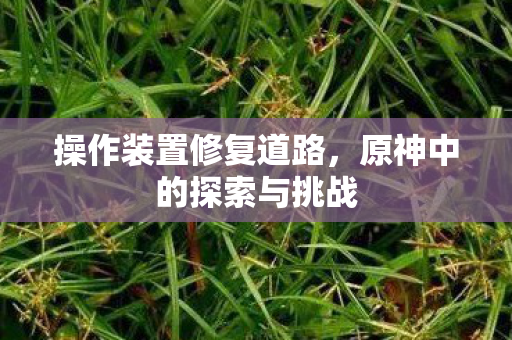 原神中的探索与挑战图片