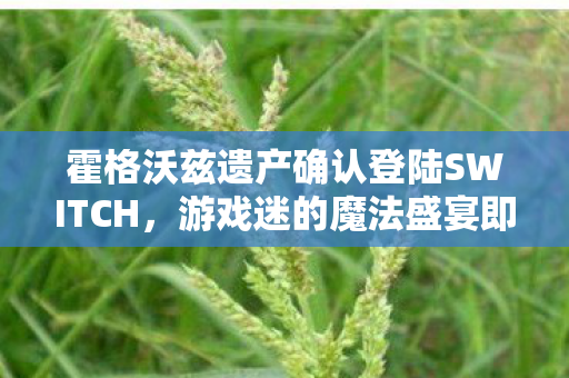 霍格沃兹遗产确认登陆SWITCH图片