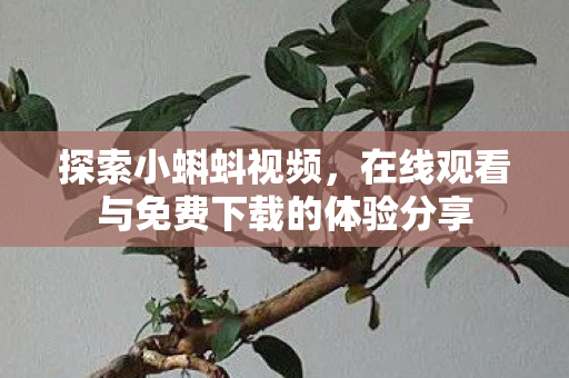 在线观看与免费下载的体验分享图片