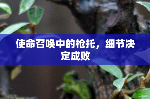 使命召唤中的枪托图片