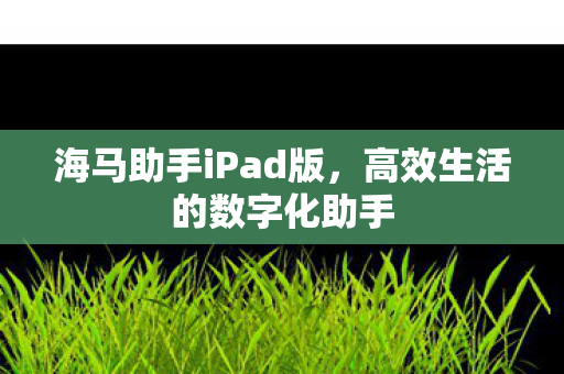 高效生活的数字化助手图片